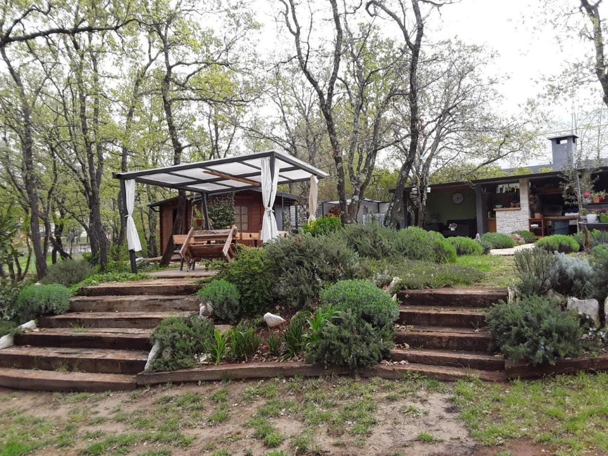 Apartments Bijou With Big Private Garden Near Umag Vilanija Экстерьер фото